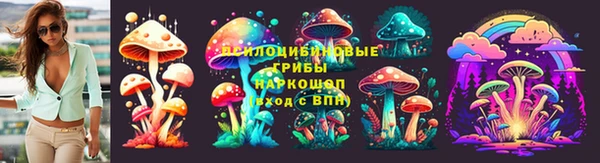 a pvp Гусиноозёрск