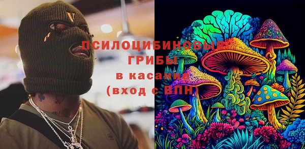 дурь Гусев