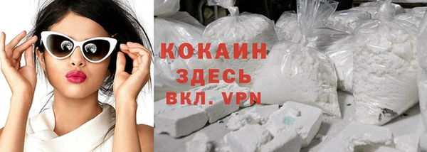 дурь Гусев
