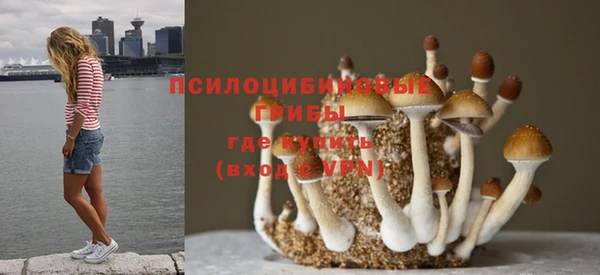 дурь Гусев