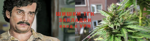 дурь Гусев
