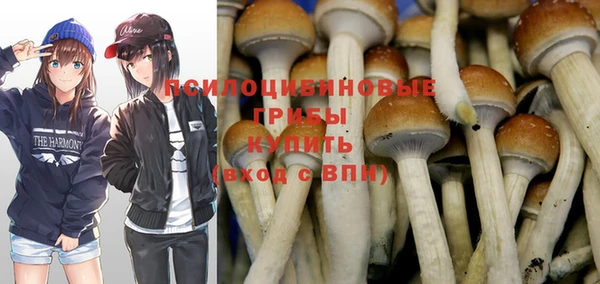 дурь Гусев