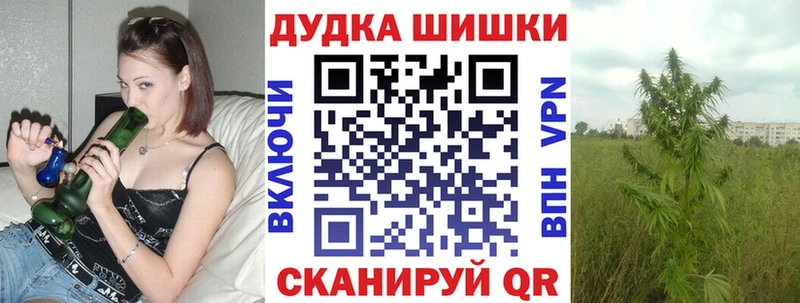 Купить закладки  Тогучин  Каннабис семена 